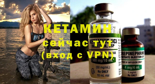 индика Киреевск