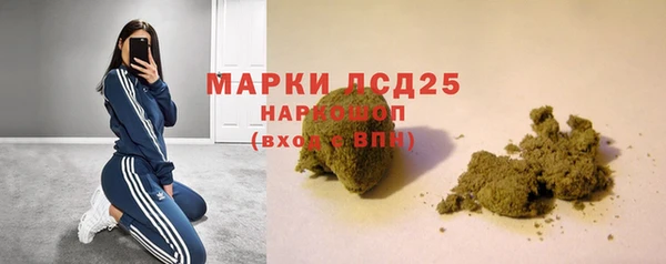 индика Киреевск