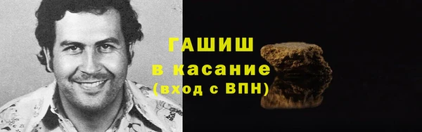 индика Киреевск