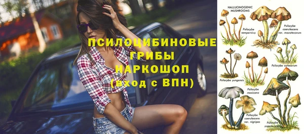 индика Киреевск