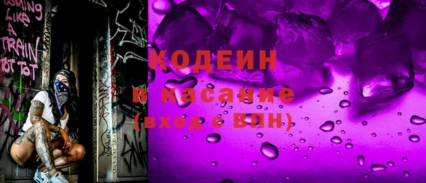 индика Киреевск