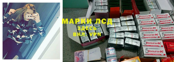 индика Киреевск