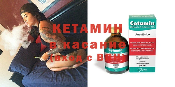 индика Киреевск