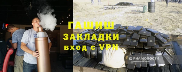 индика Киреевск