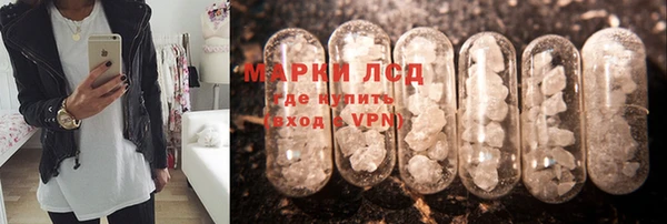 индика Киреевск