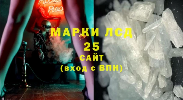 индика Киреевск