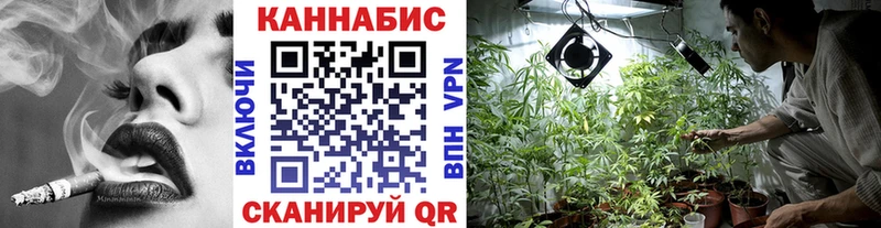 Конопля ГИДРОПОН  Купить закладки  Борзя 